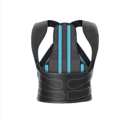 ErgoAlign Back Support Belt