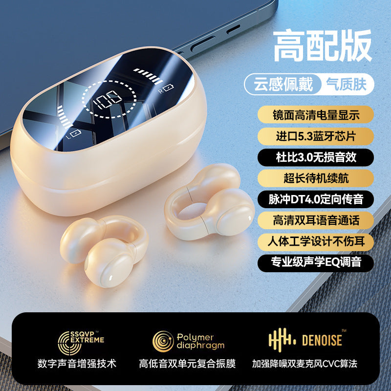 M55 Sport Bone Conduction Earbuds