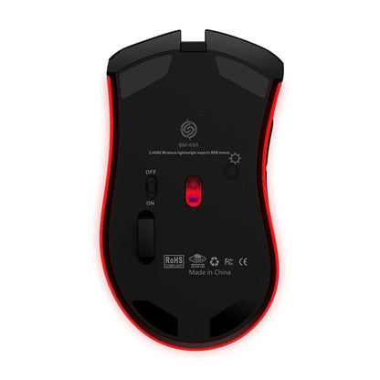 BM600 Hybrid Pro Wireless RGB Gamer Mouse